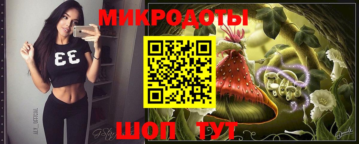 Кингисепп  Псилоцибиновые грибы мицелий  Вход с VPN 