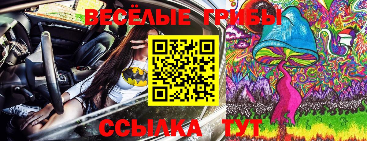 Псилоцибиновые грибы Cubensis Кингисепп